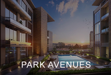 Park Avenue – MBR City
